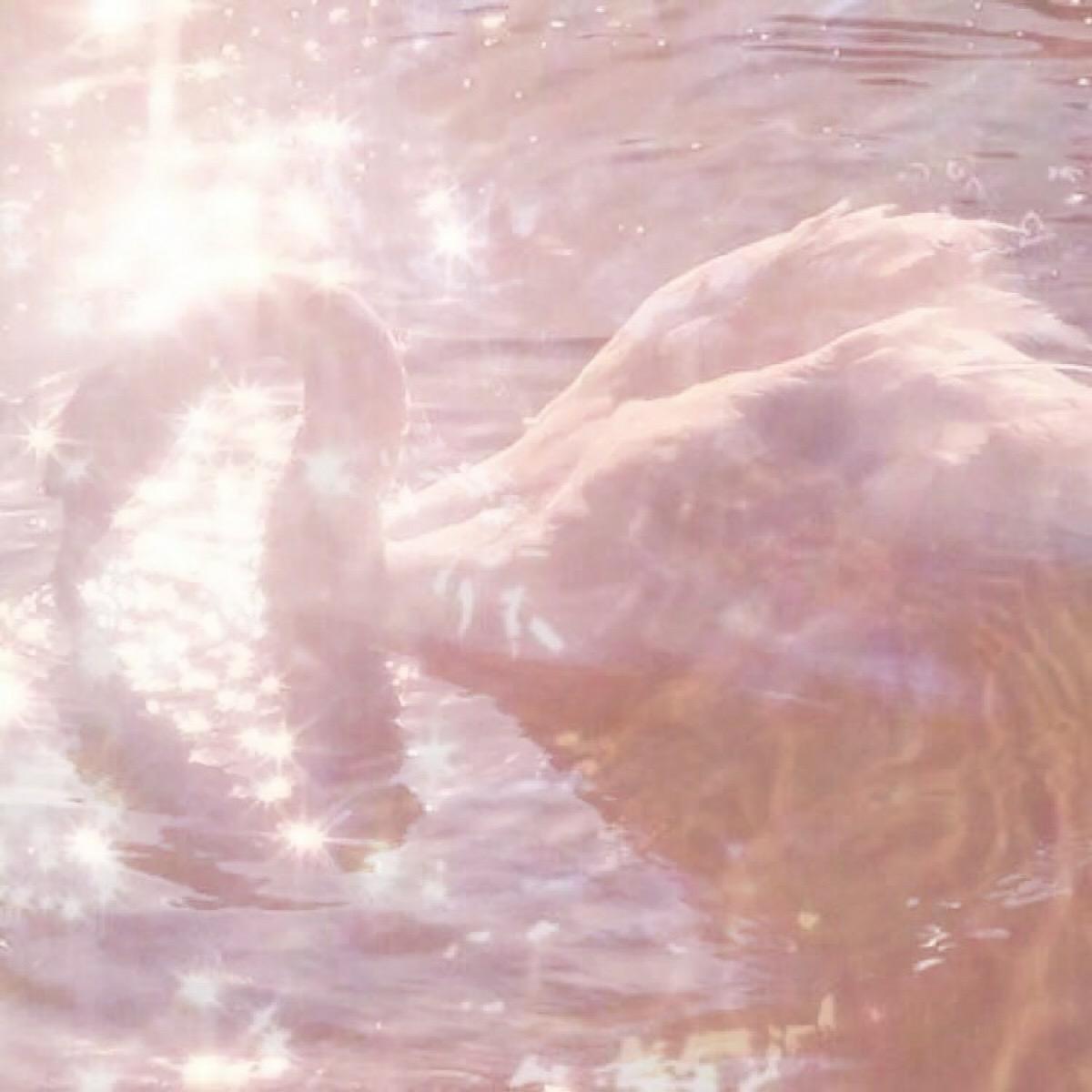 微信相册封面图片大全,微信相册封面图是什么