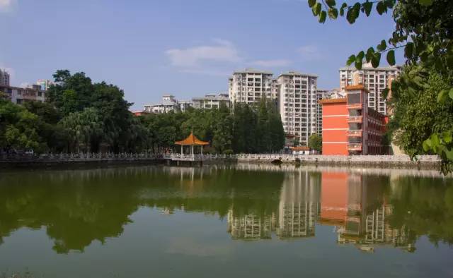 来肇新生看过来,这份交通指引能帮你大忙!