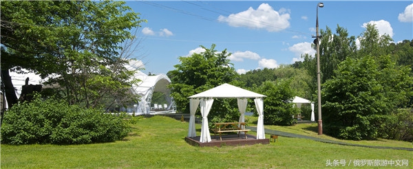 俄罗斯烤肉和牛排哪个好吃,俄罗斯烤肉种类