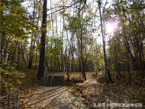 俄罗斯烤肉和牛排哪个好吃,俄罗斯烤肉种类