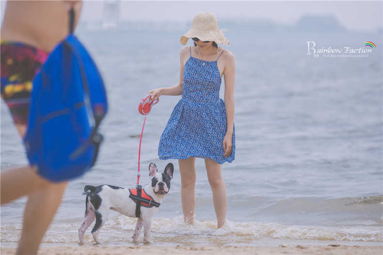 带着狗狗去旅行秦皇岛,带着狗狗旅居