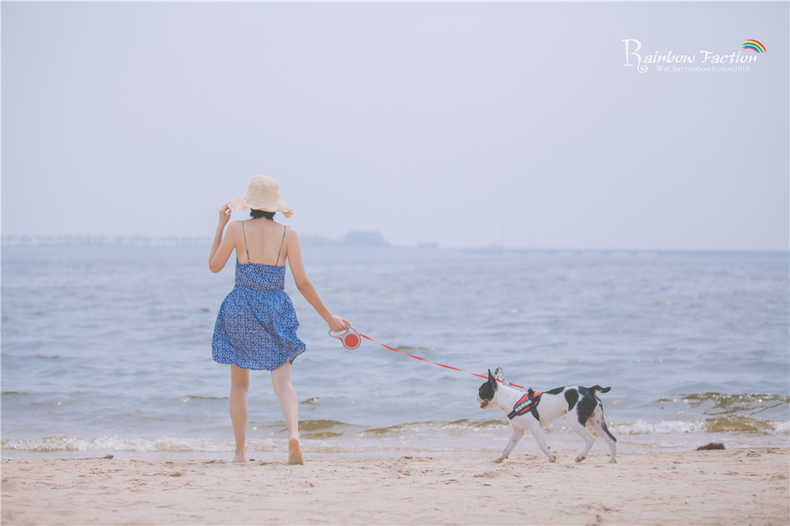 带着狗狗去旅行秦皇岛,带着狗狗旅居