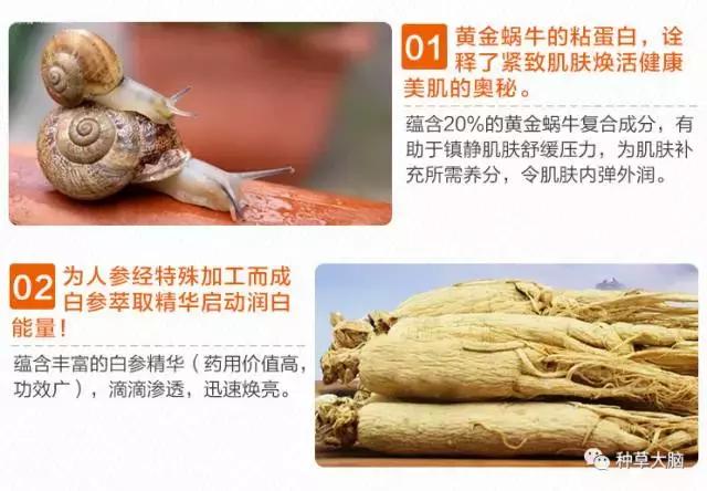 不上粉底伪素颜妆教程,不用卸妆的伪素颜妆