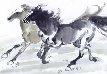 恩师真传的十二生肖婚配之忌,最佳的配偶十二生肖