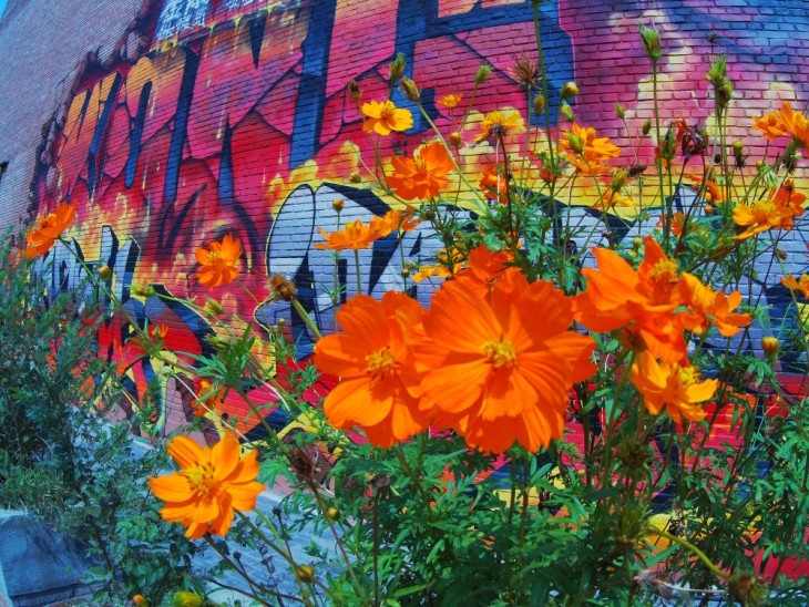 小米高清运动相机推荐,小米最新款数码相机