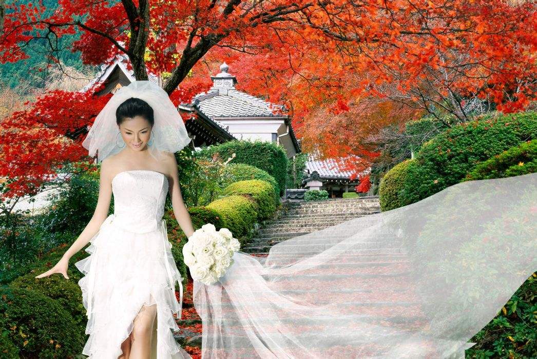 ps抠图干货,大师都点赞了,你还在等什么?