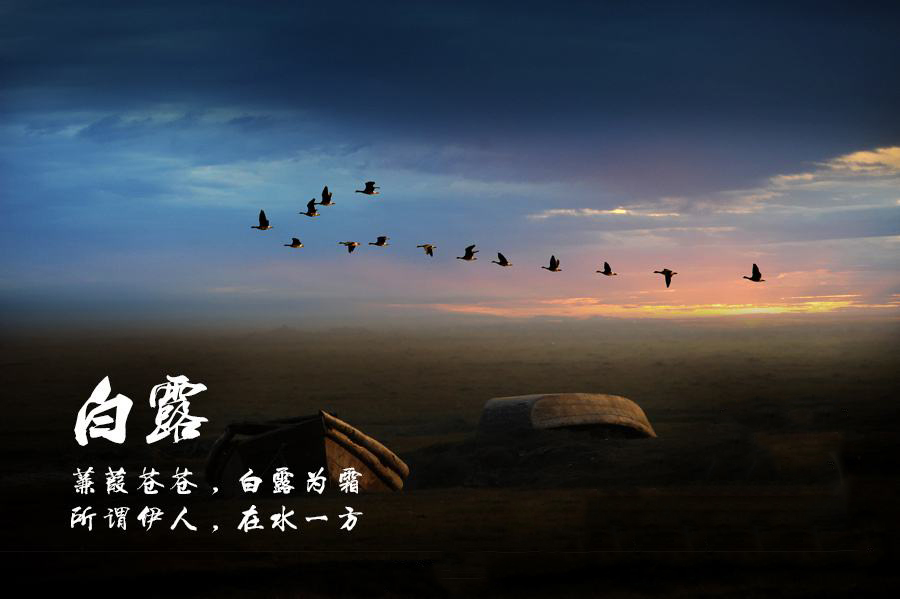 二十四节气之白露歌曲,二十四节气之白露作品