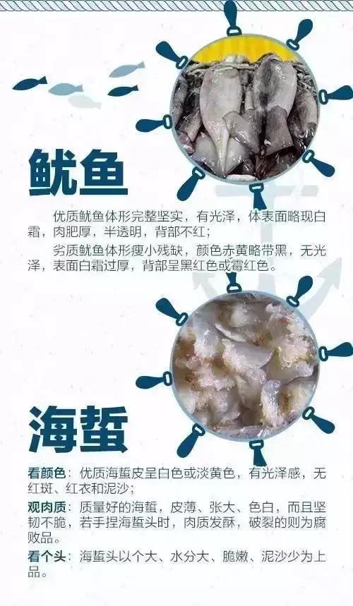 有一种炫富叫开海了,天津炫富视频