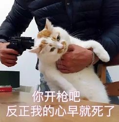 个人代练有多坑,现在的代练有多坑