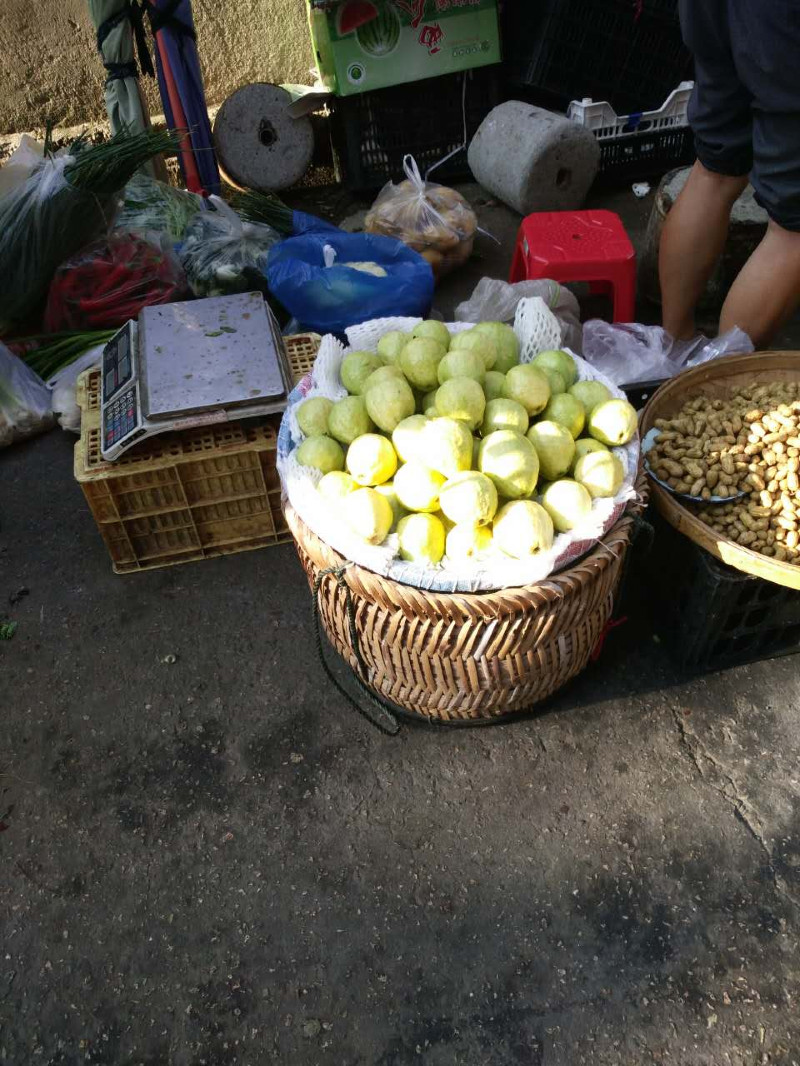 厦门四天三夜旅行攻略,自驾厦门旅游攻略