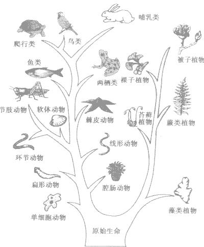 老赖?懒婆娘?如果你是编剧,你会怎样改编牛郎织女的故事?