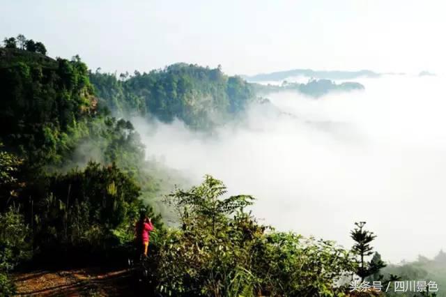 100公里内成都的免费景点,距离成都1000公里内的旅游景点