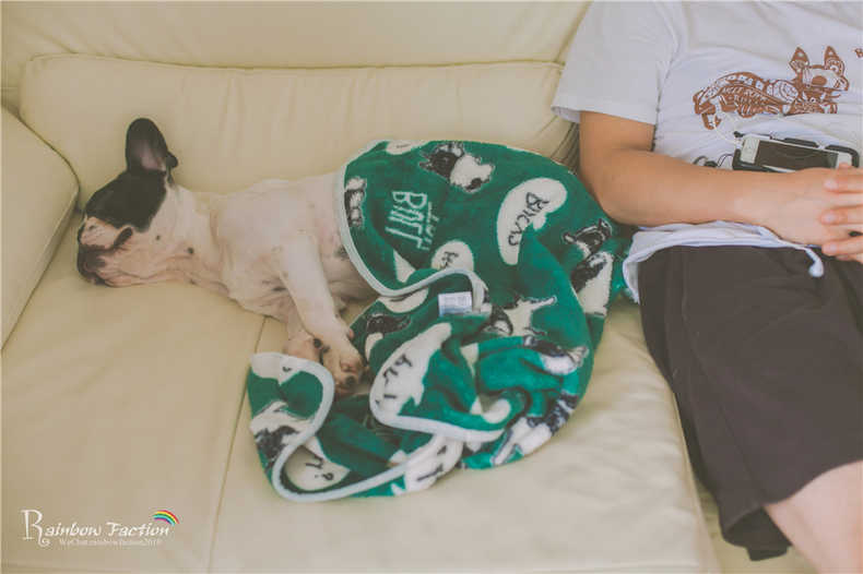 带着狗狗去旅行秦皇岛,带着狗狗旅居