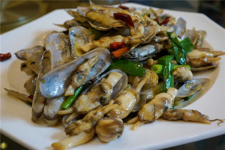 带着狗狗去旅行秦皇岛,带着狗狗旅居