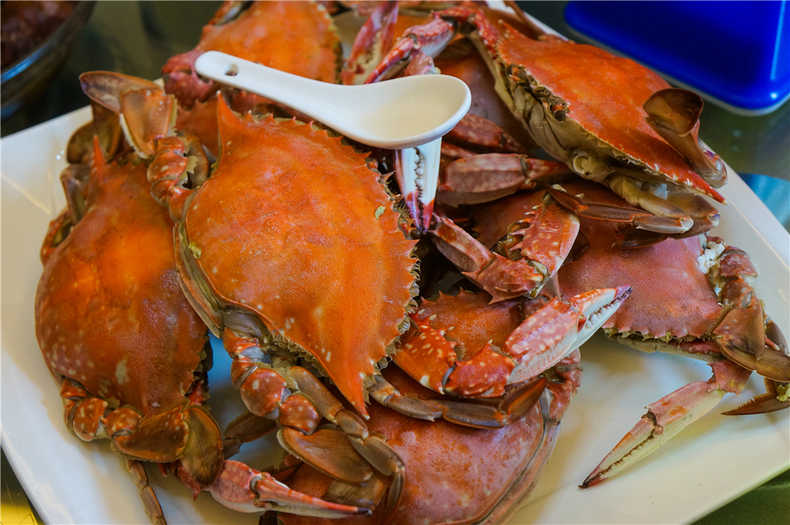 带着狗狗去旅行秦皇岛,带着狗狗旅居