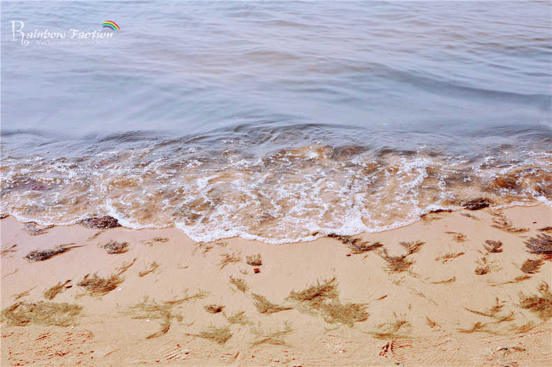 带着狗狗去旅行秦皇岛,带着狗狗旅居