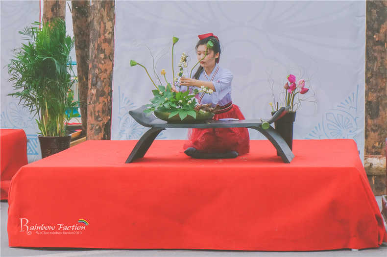 带着狗狗去旅行秦皇岛,带着狗狗旅居