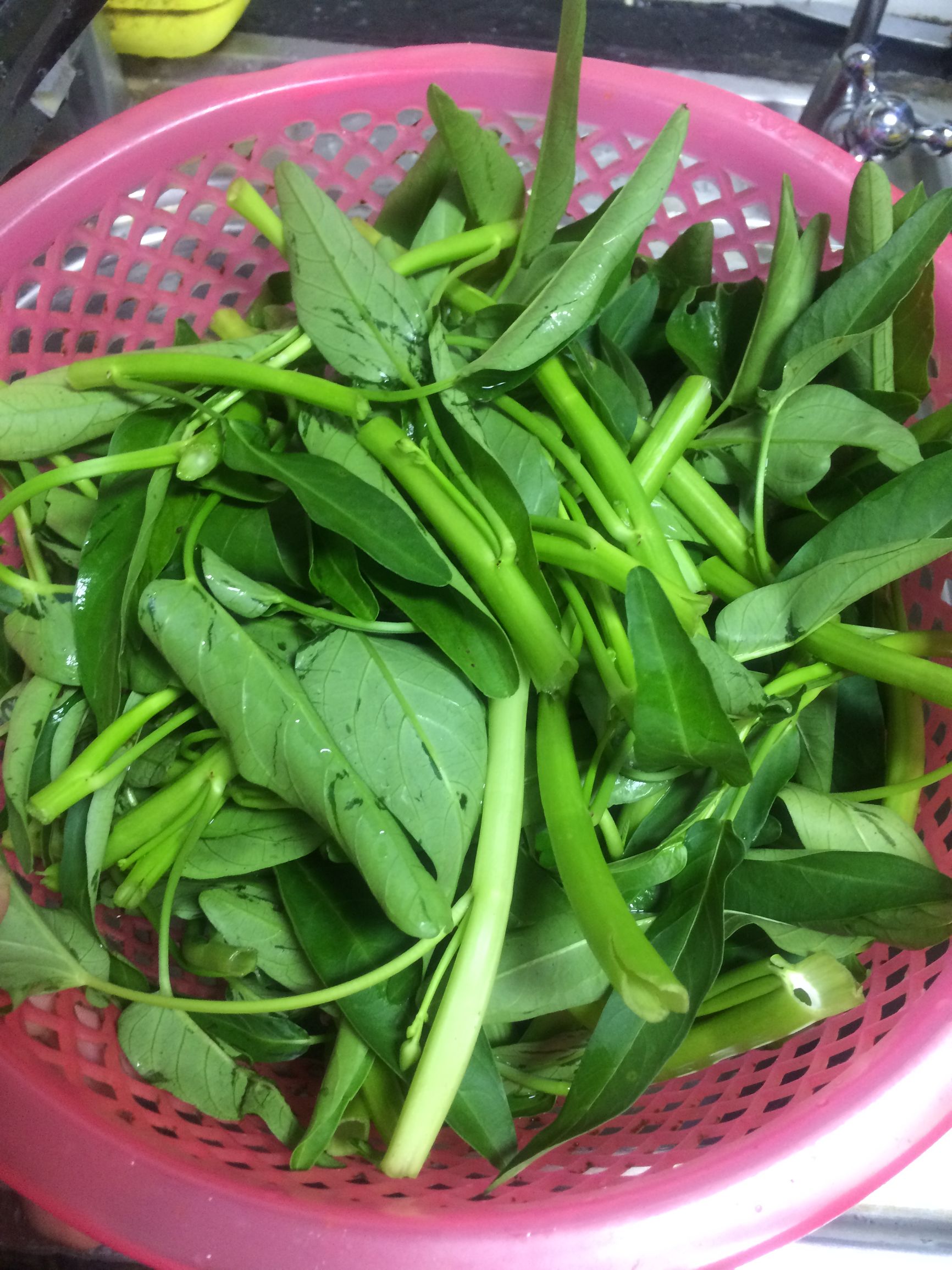 9月1号开学应该吃什么,开学9月第一天