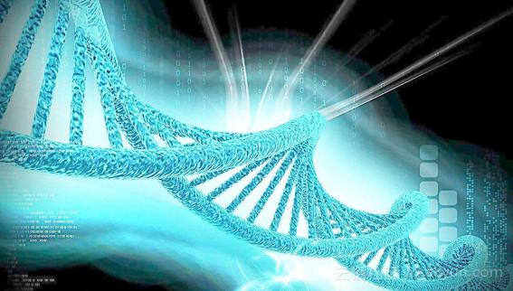 gartner阿里云,阿里云存储负责人