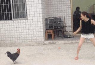 舔第二碗时，丈母娘拉我的手说：放这儿吧！等下我来洗