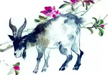 恩师真传的十二生肖婚配之忌,最佳的配偶十二生肖