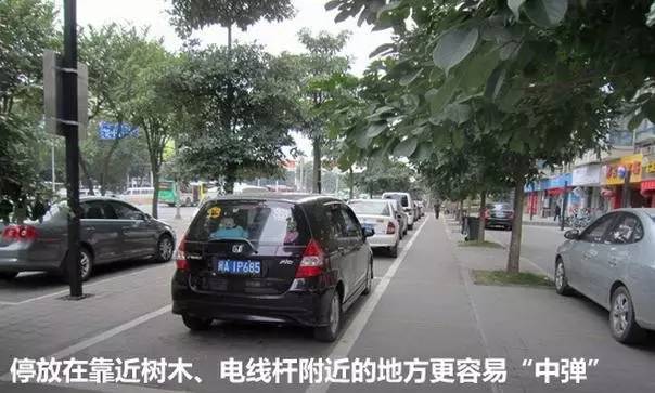 车上鸟粪怎么清理干净,车上鸟粪去除好方法