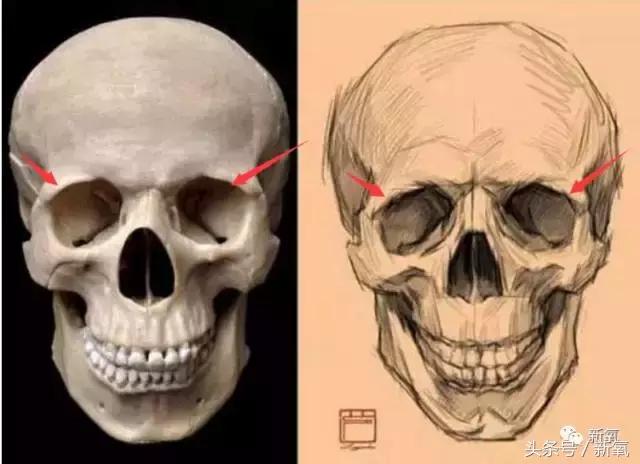 杨紫瘦了腿显得不纤细,杨紫变美之路脸怎么瘦的