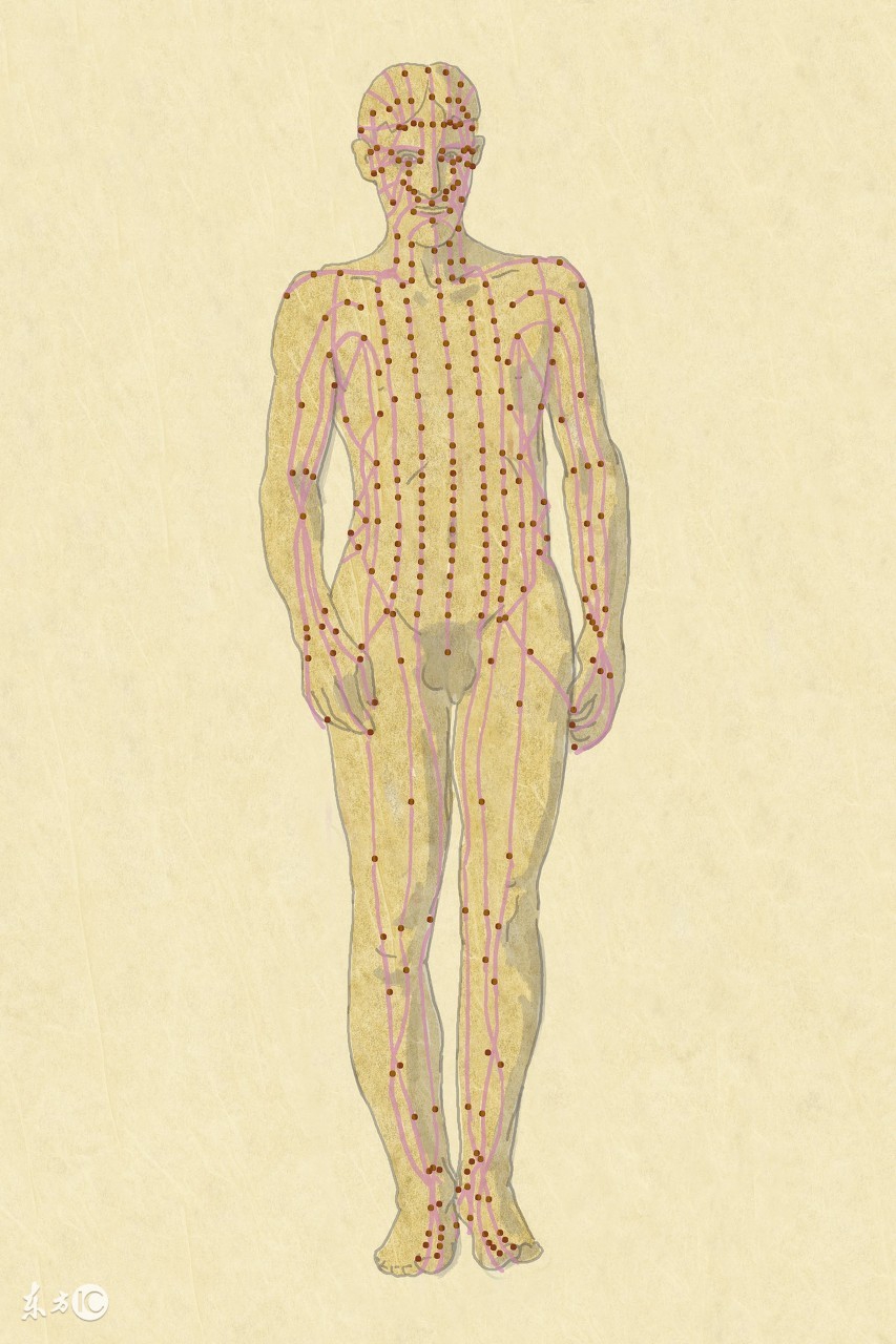 平衡针灸38针处方,平衡针降血压穴位