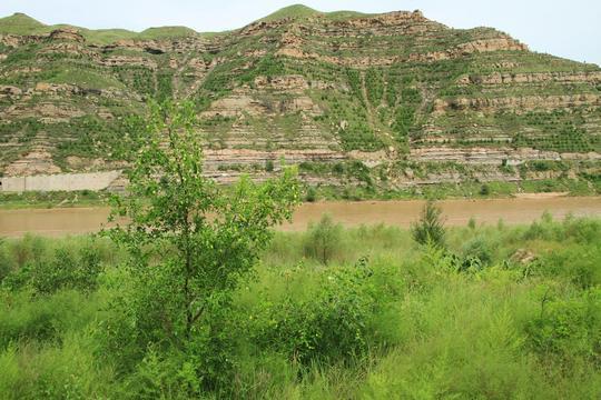 黄河岸边的久久护佑——白云山