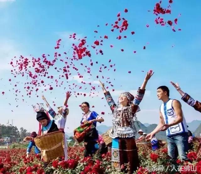 佛山西站出发动车直达！九月的普者黑，美成一幅脱俗的3D田园画~