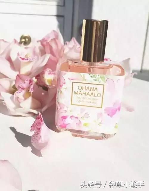 这5款堪比大牌的平价香水，用过的姑娘都有男盆友了