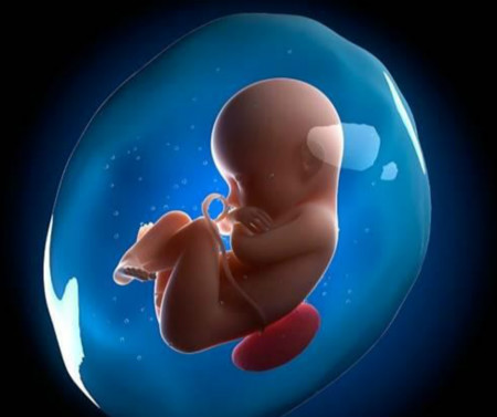 孕晚期羊水少多喝水有用吗,孕期很注意饮食跟运动还是长肉