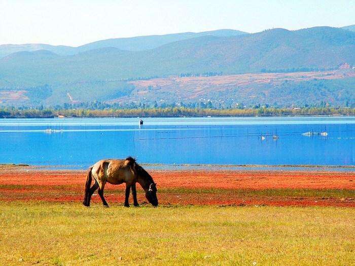 云南丽江哪里最好玩,云南丽江风景怎么样