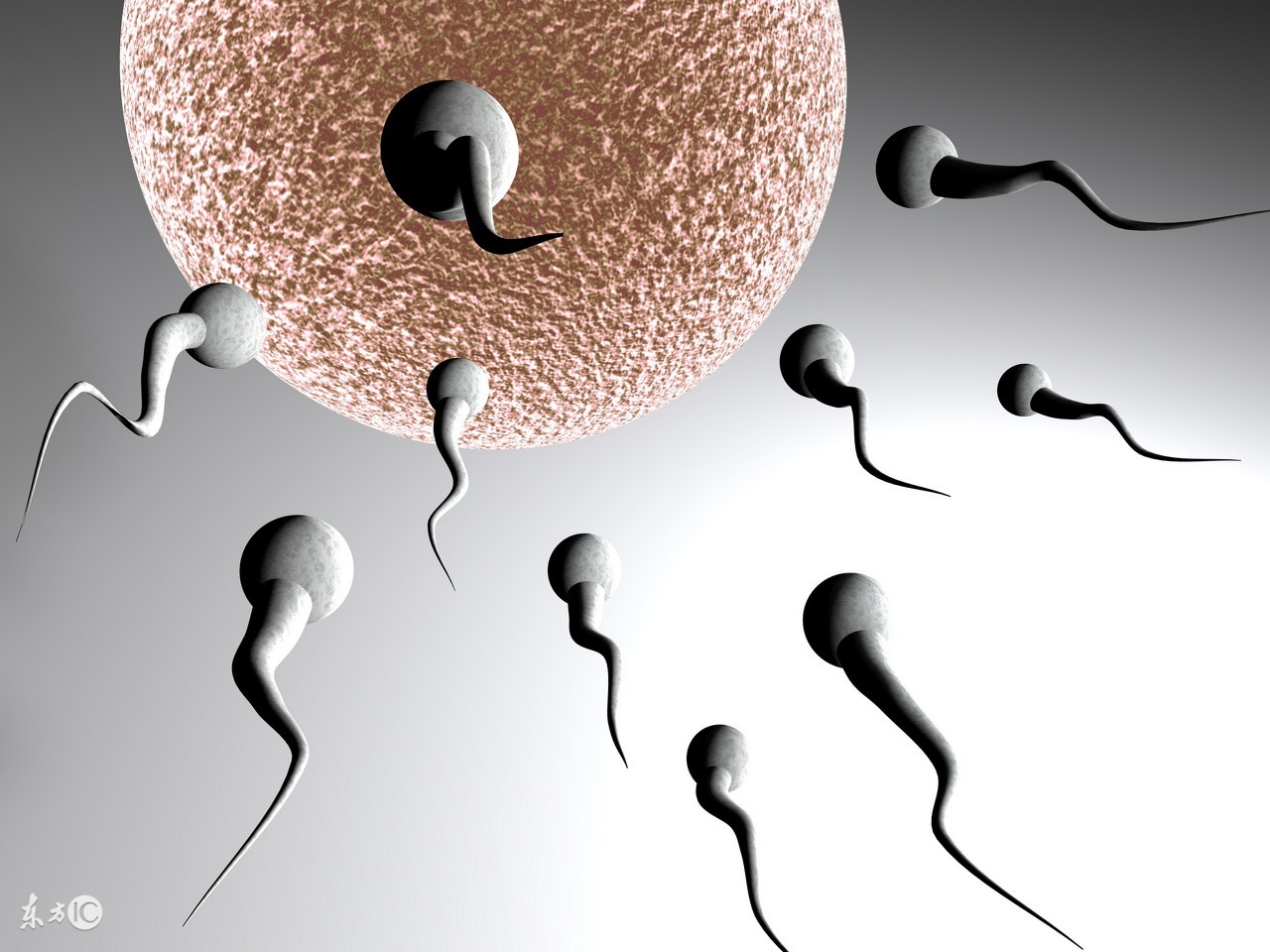 超有趣的冷知识你都不知道,超有趣的冷知识你绝对不知道