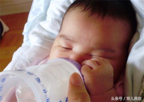 头扁的像铲子,头扁扁的像甲虫一样