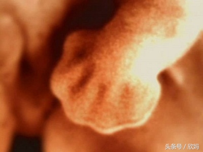 妈妈知道宝宝在肚子里,胎宝宝在肚子里的发育