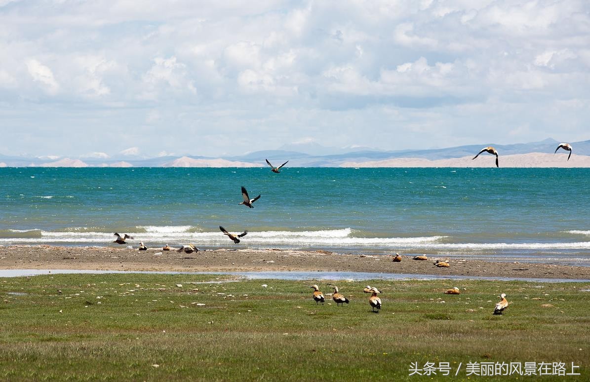 郑州到青海的火车票只需236元，你差的只是出发的勇气！