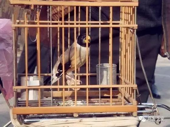 玩索而有得的索解释,玩索而有得的出处