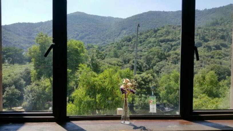 苏州西山古色古香的民宿,树山精品民宿