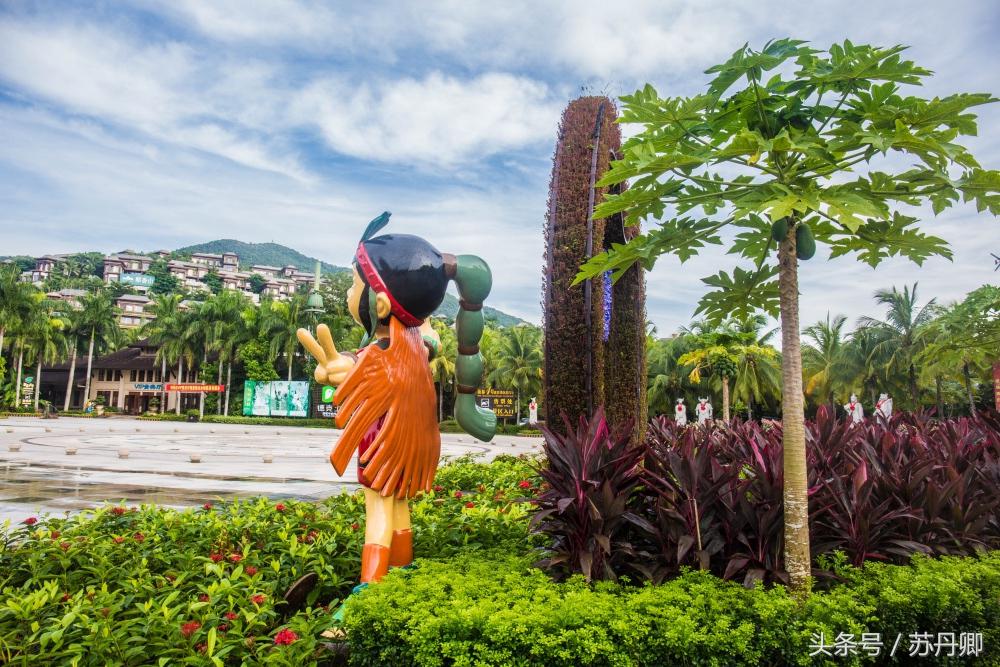 亚马逊热带雨林真实食人花,亚马逊雨林食人花