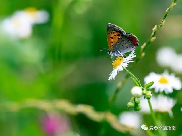 没断奶的男朋友,没断奶的爸宝男