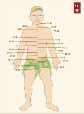 中医学习温故知新,温故知新讲座视频