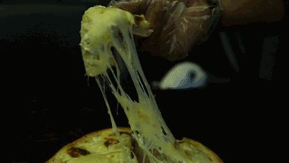 郑州东区萌猫主题披萨小店，铲屎官快来这吸猫了！