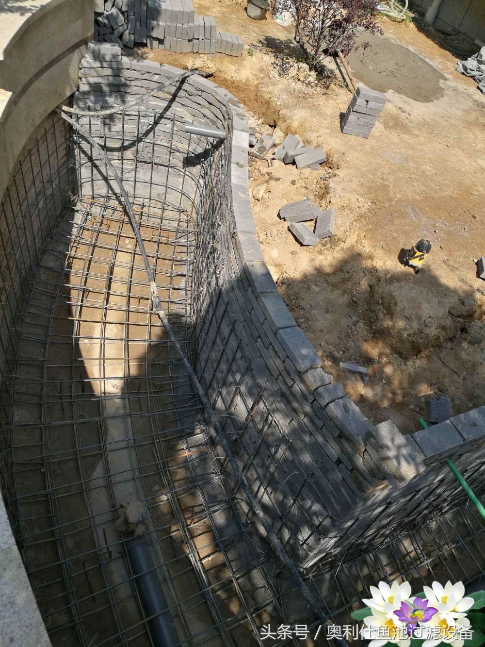 10吨小鱼池的完美养成记