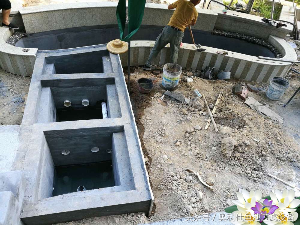 10吨小鱼池的完美养成记