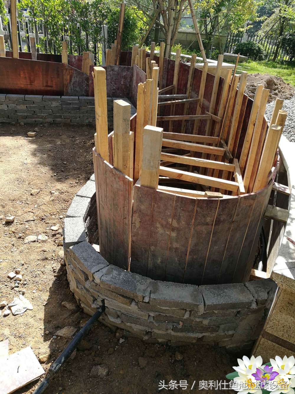 10吨小鱼池的完美养成记