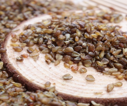 全谷中的全能选手“荞麦米”——对抗“四高”有绝招