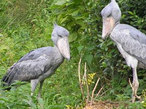 超有趣的冷知识你都不知道,超有趣的冷知识你绝对不知道