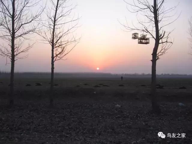 玩索而有得的索解释,玩索而有得的出处