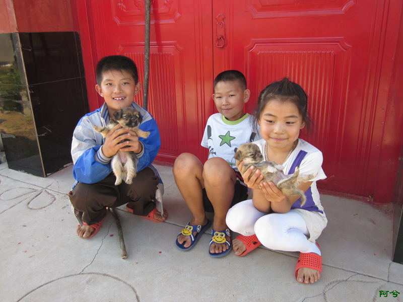 农村好政策来了有12项补贴,农村人有福了这几项补贴